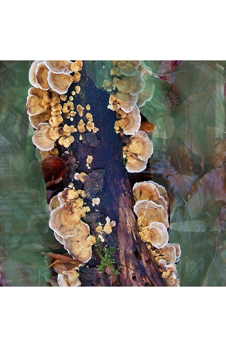 BYREDO Oud Immortel Eau de Parfum, Alternate, color, 