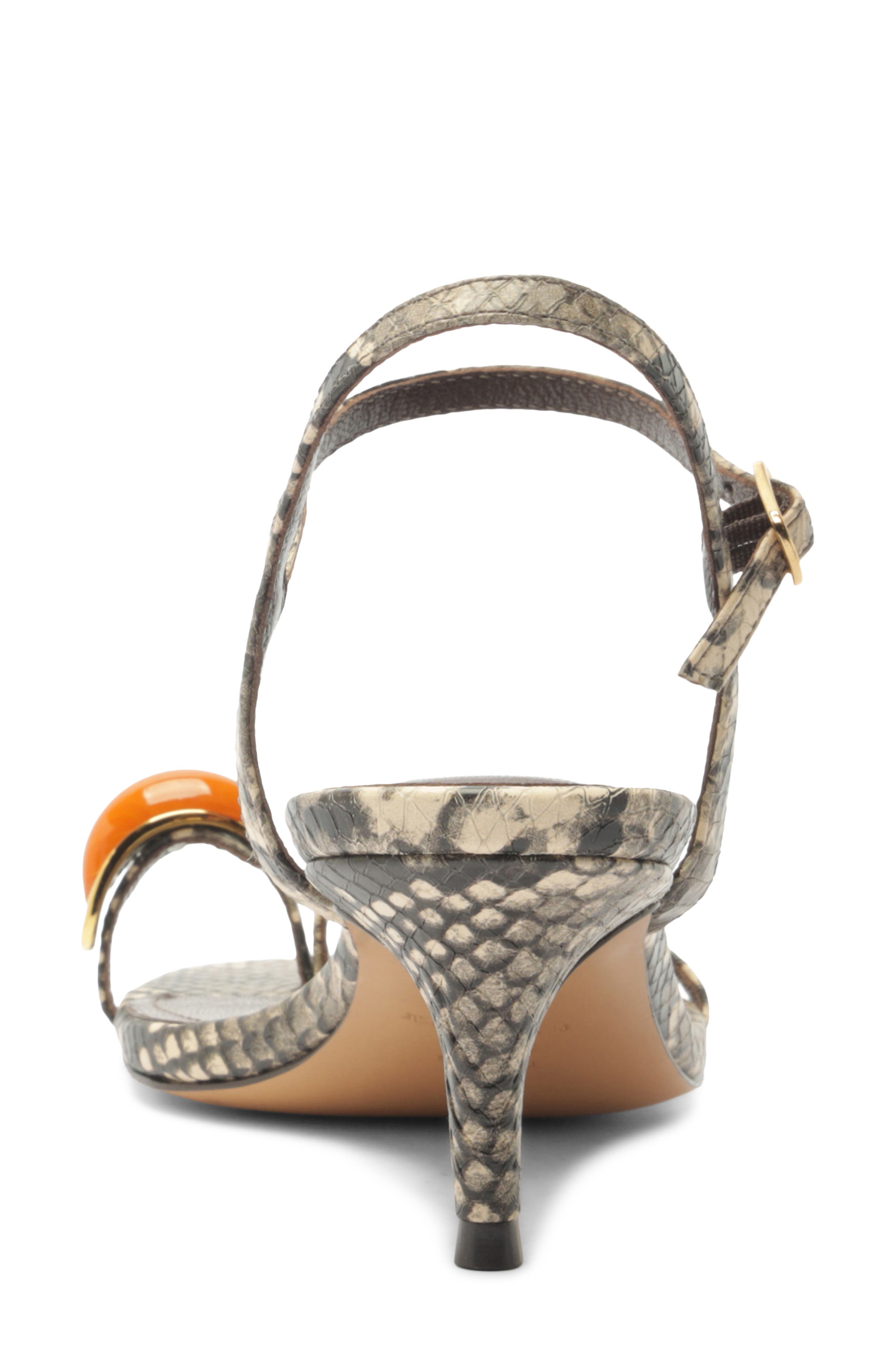 Arezzo Sofia Ankle Strap Sandal, Alternate, color, Osso