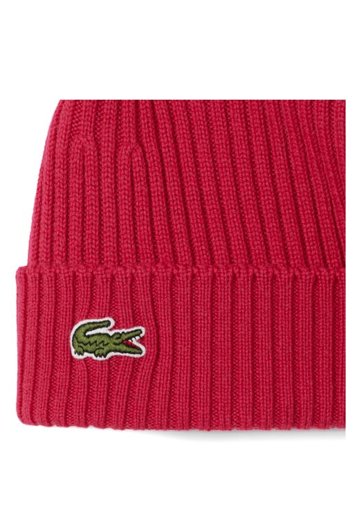 Lacoste Wool Cuff Beanie In Red
