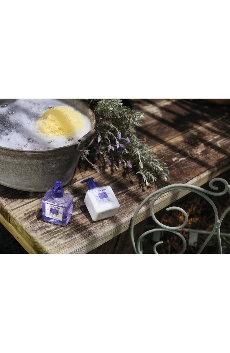 L'Occitane Hand Wash and Lotion Set $53 Value, Alternate, color,