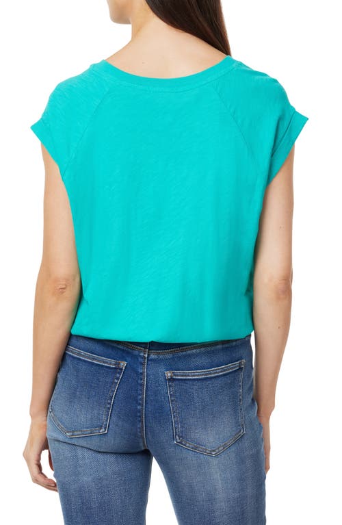 Curve Appeal Cap Sleeve Cotton T-shirt In Spectra Green