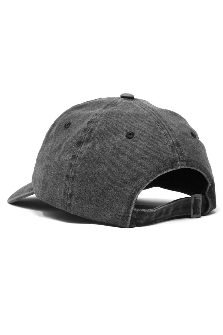 Capybara Embroidered Everyday Hat, Alternate, color, Washed Black
