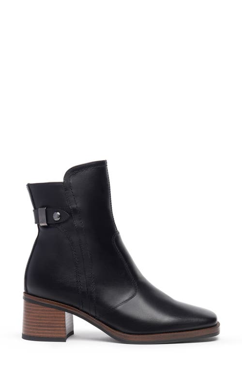 Nerogiardini Square Toe Bootie In Black