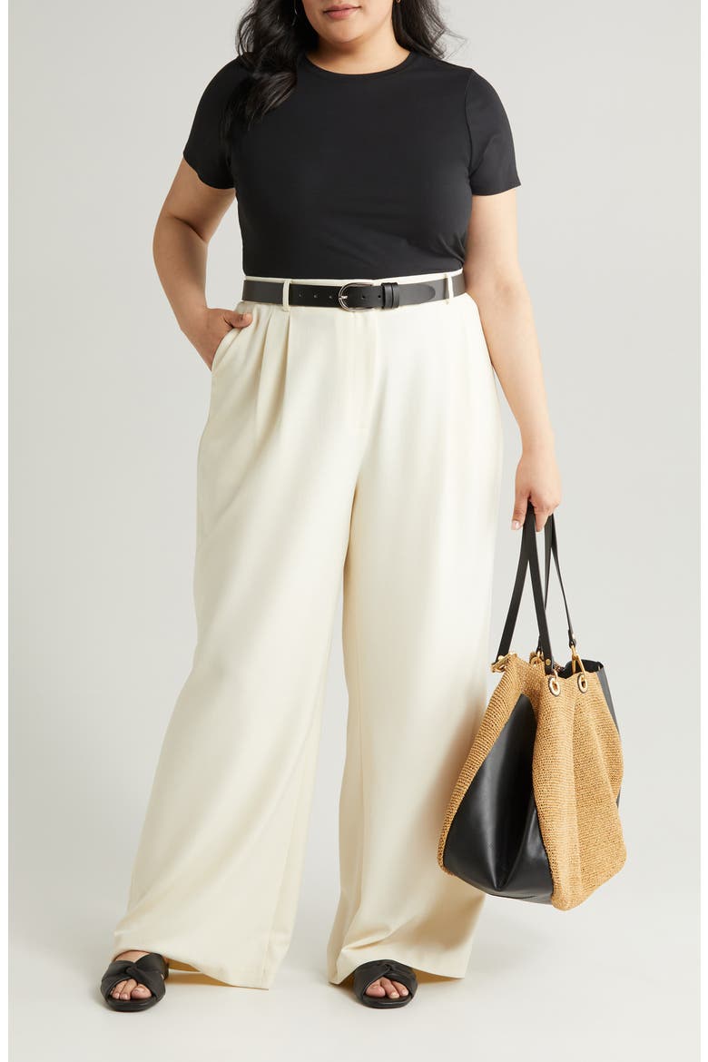 Pleat Front Wide Leg Pants, Main, color, IVORY BIRCH