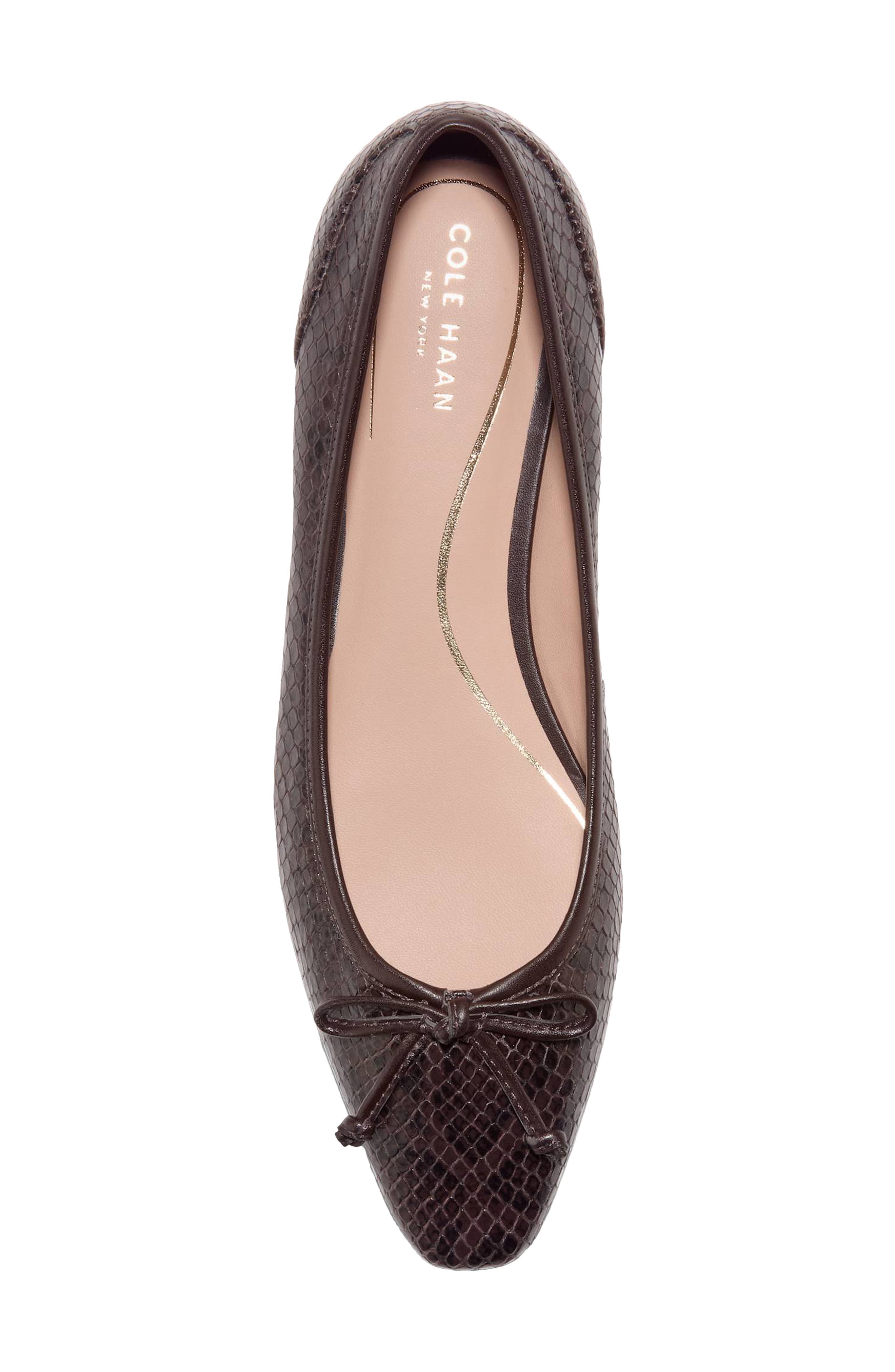 Paget Leather Ballet Flat, Alternate, color, DARK CHOCOLATE SNAKE PRINT