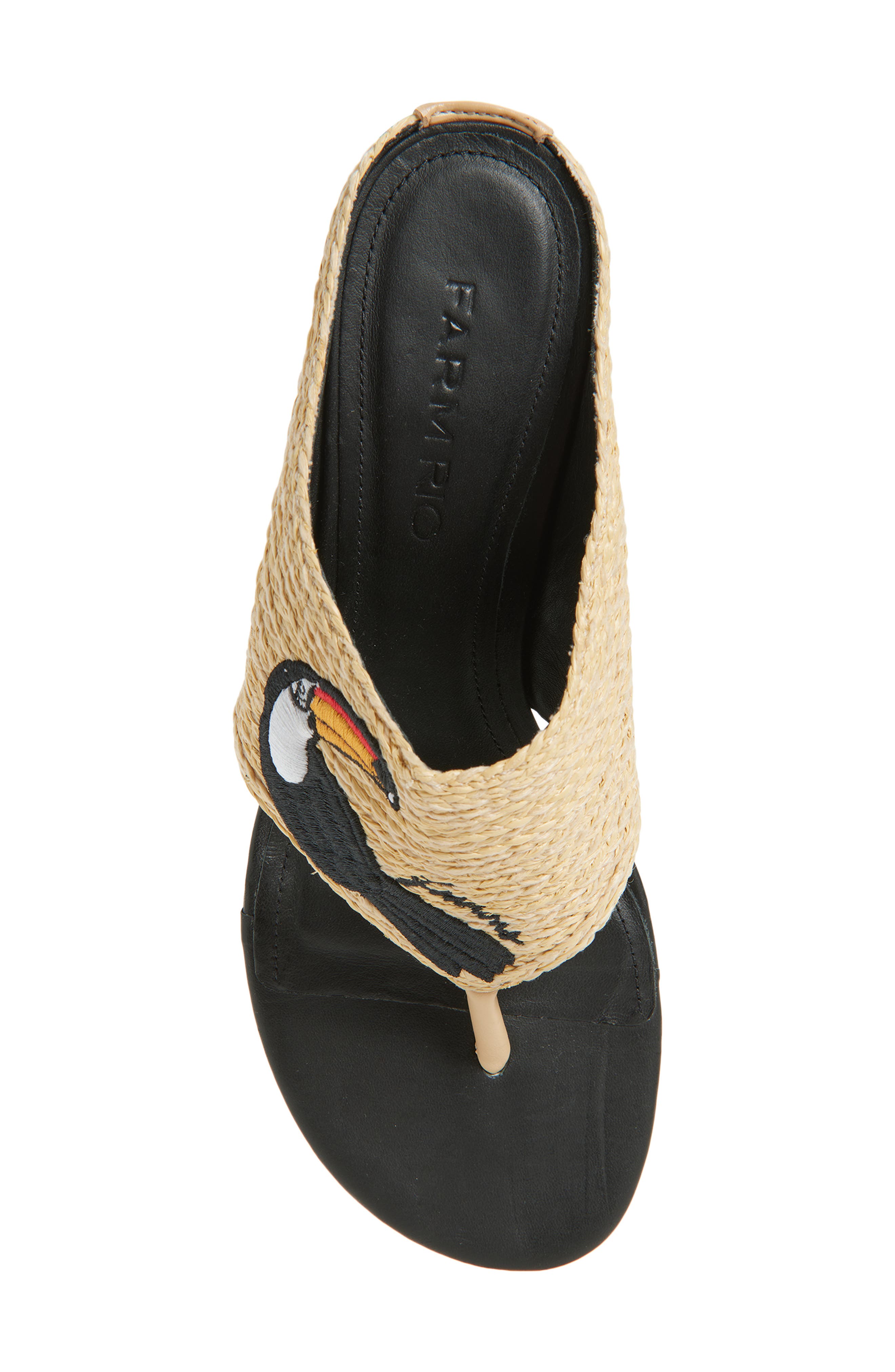 FARM Rio Icons Raffia Kitten Heel Slide Sandal, Alternate, color, Tucan Black