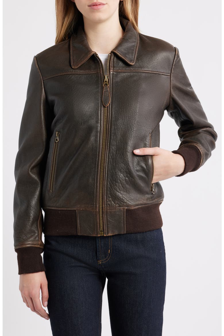 Leather Flight Jacket, Alternate, color, ANTIQUE
