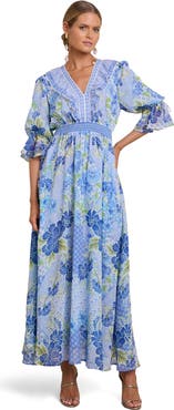 Hale Bob Meridian Chiffon Maxi Dress