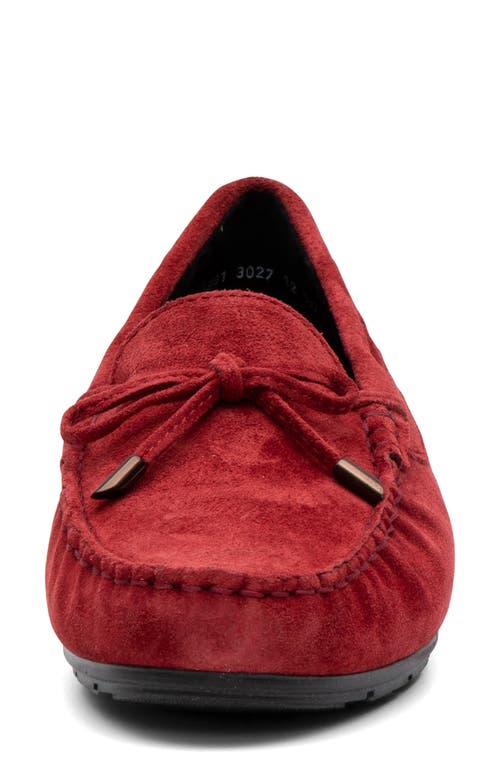Ara Amarillo Leather Driving Shoe In Red