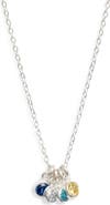 Set & Stones Multi Birthstone Charm Necklace
