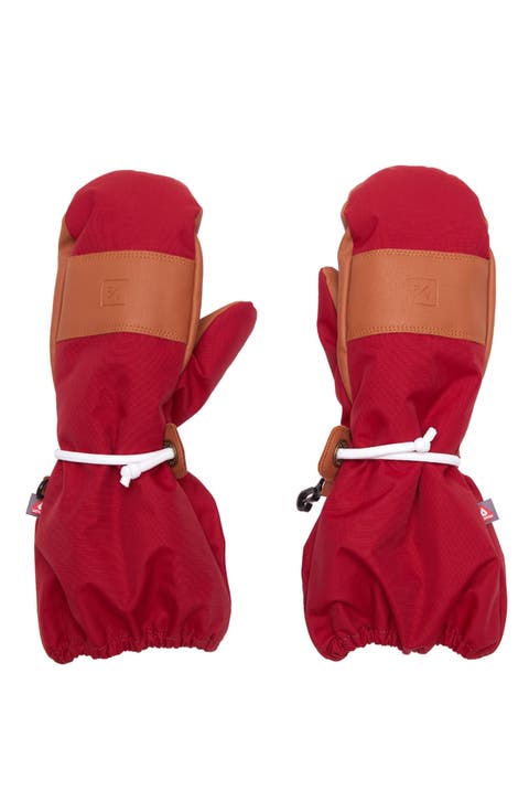 Waterproof Ski Mitten (Women's) (Adult)