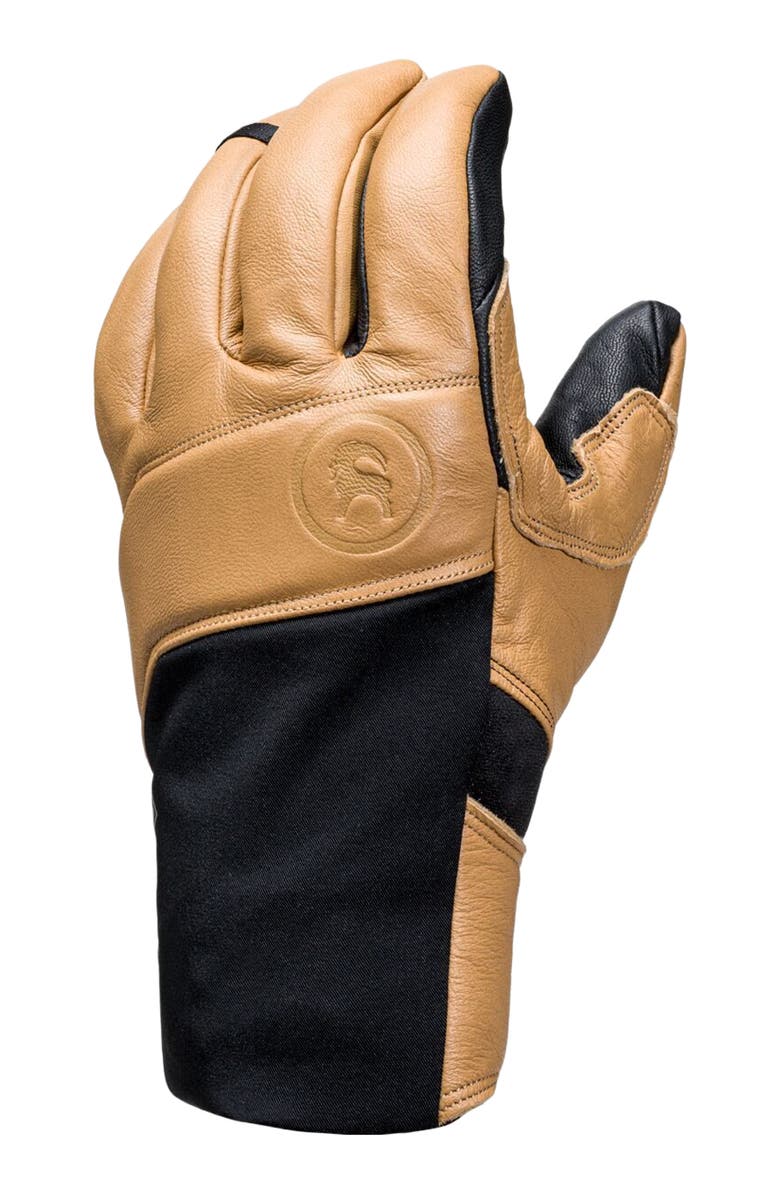 Backcountry GORE-TEX Snow Glove, Main, color, Pika/Black