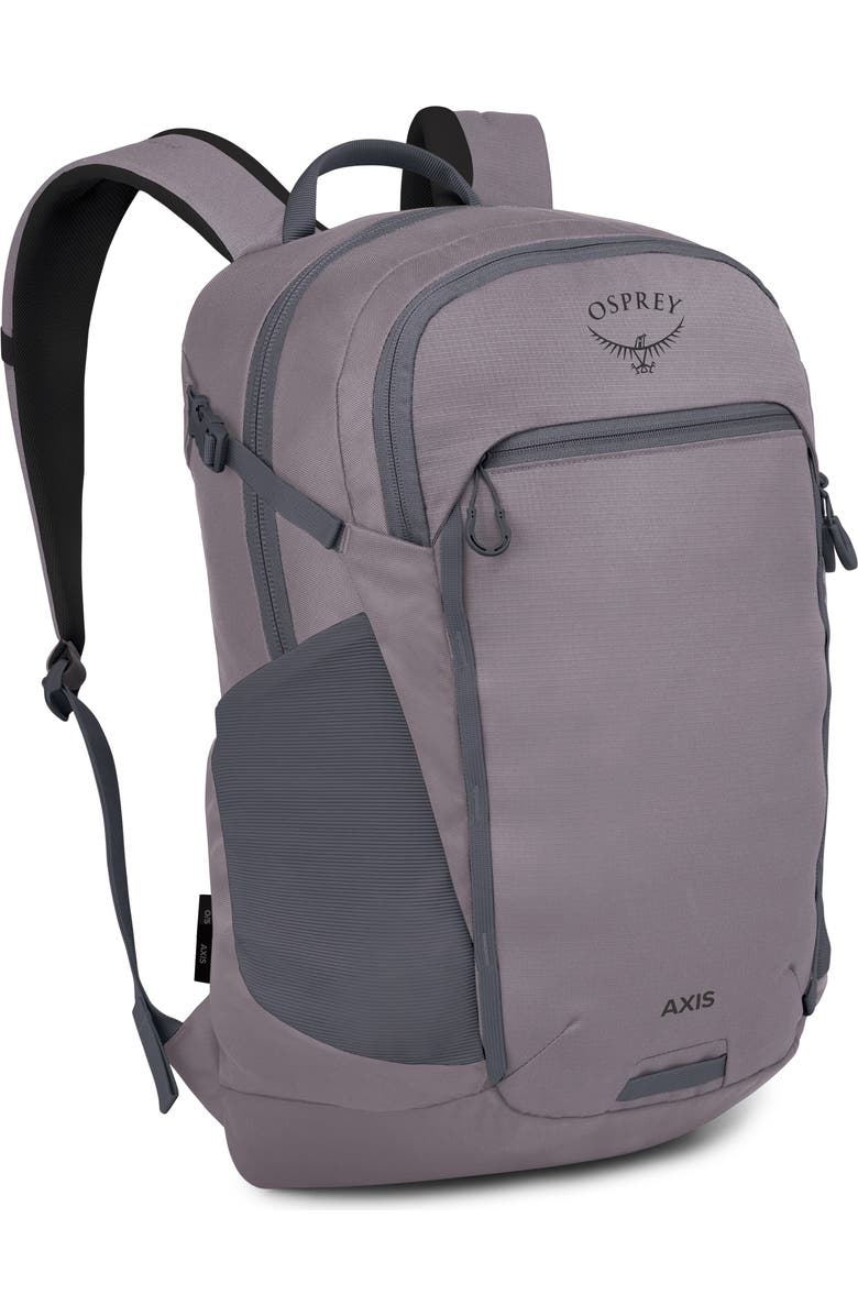 Osprey Axis 24-Liter Backpack, Alternate, color, Soundwave Grey