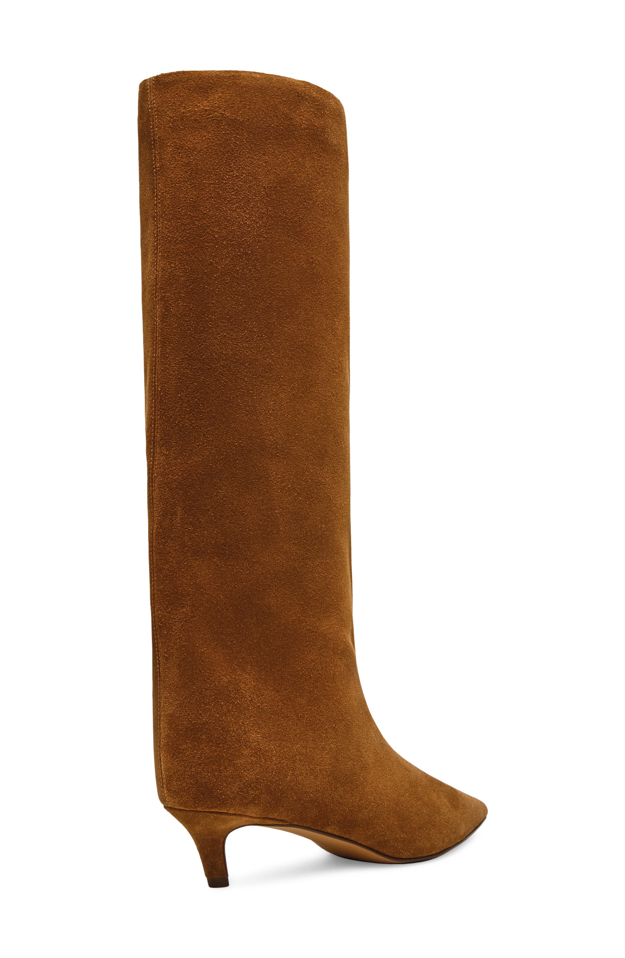 Lychee Pointed Toe Boot, Alternate, color, CHESTNUT SUEDE