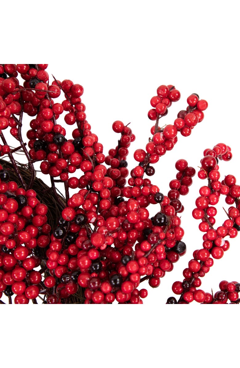 Northlight Red and Burgundy Berry Artificial Christmas Wreath, 22-Inch Unlit, Alternate, color, Red