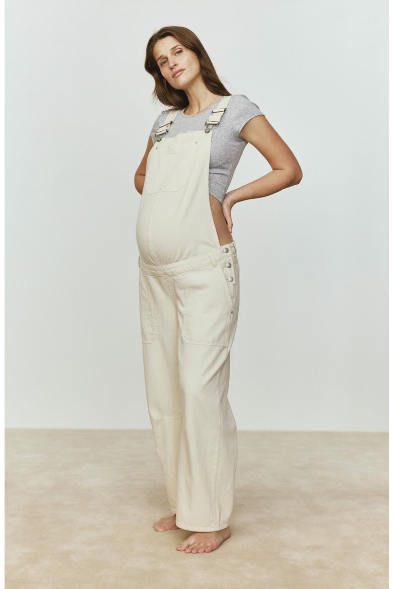 Maternity Bilie Wide Leg Overalls, Alternate, color, FLAX AURA