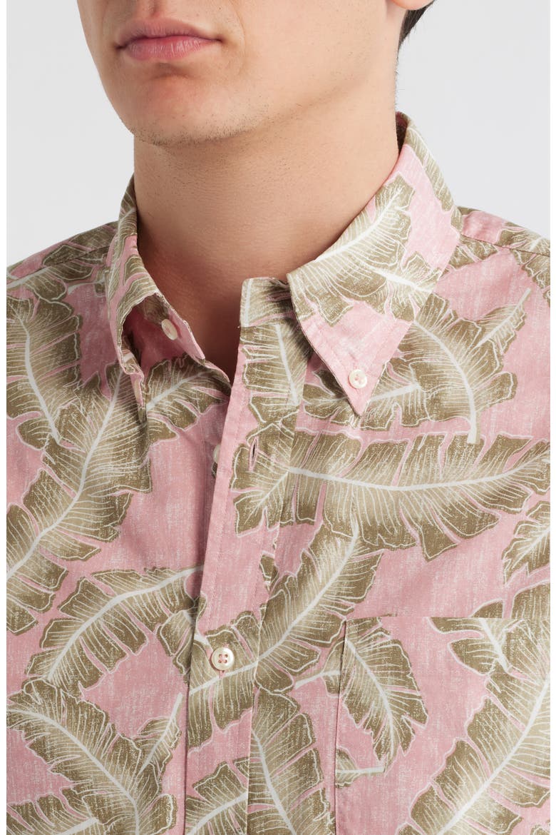 Palm Leaf Print Short Sleeve Cotton Button-Down Shirt, Alternate, color, PALM LEAF