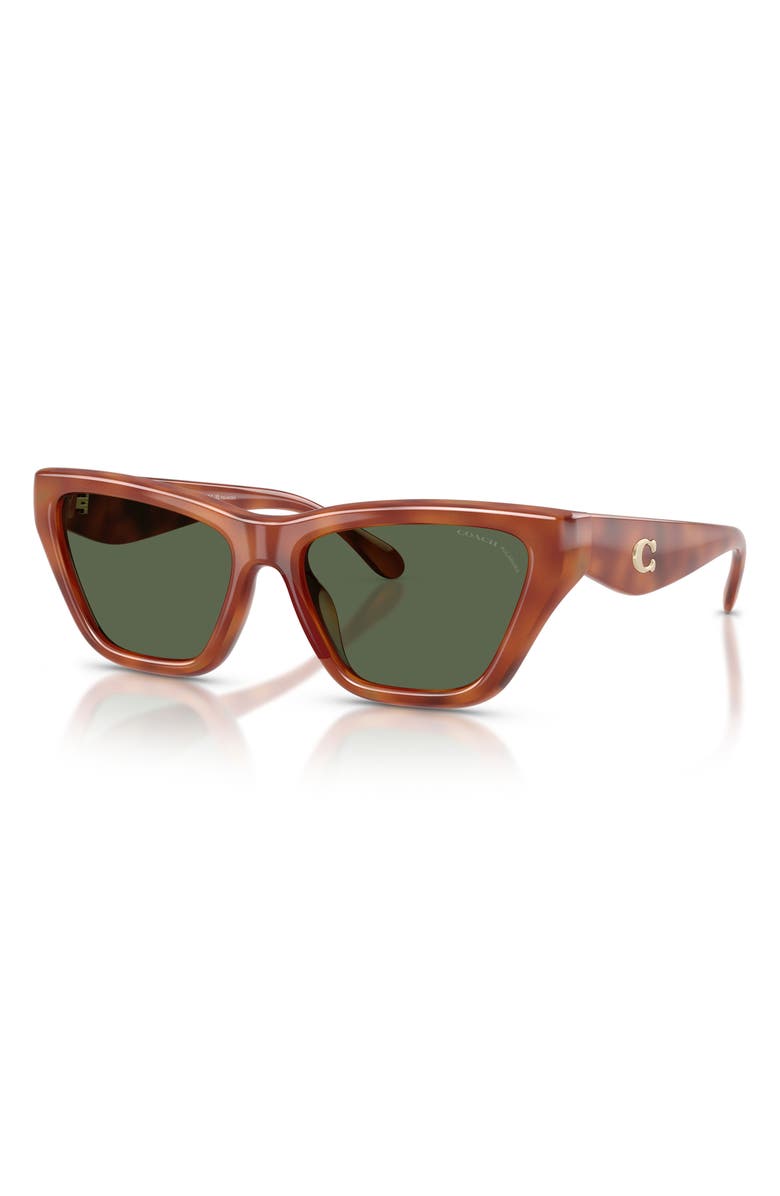 COACH 56mm Polarized Cat Eye Sunglasses, Alternate, color, Caramel Tortoise / Green Polar