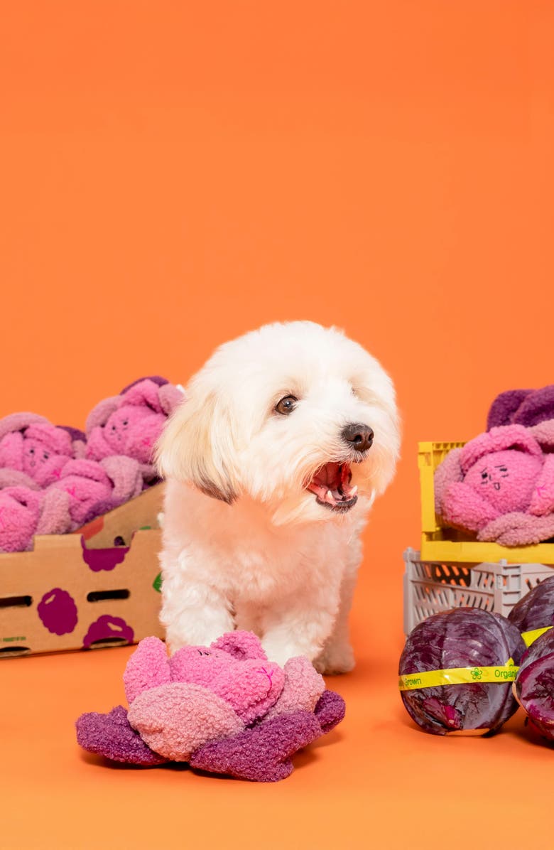 the furryfolks Red Cabbage Nosework Toy, Alternate, color, Pink