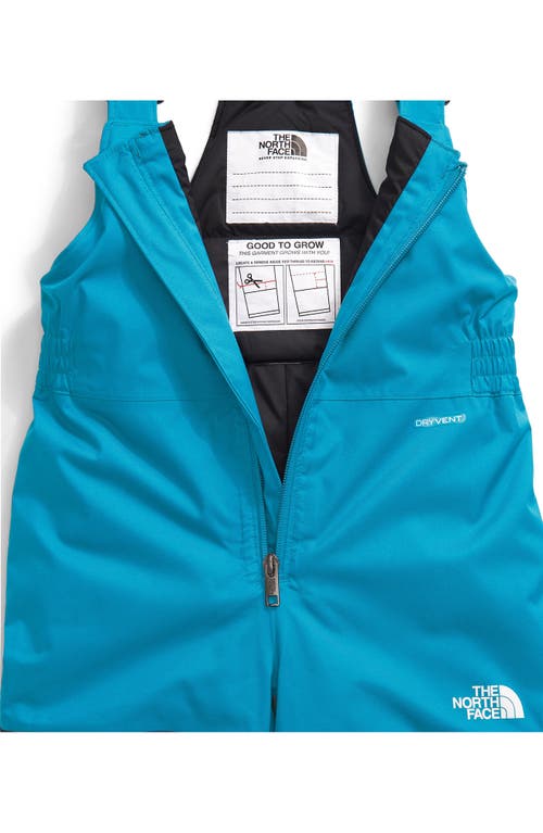 The North Face Kids' Freedom Insulated Snow Bib Overalls In Blue