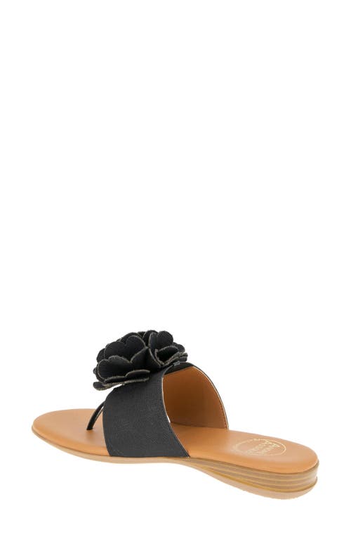 Andre Assous André Assous Nate Flower Sandal In Black