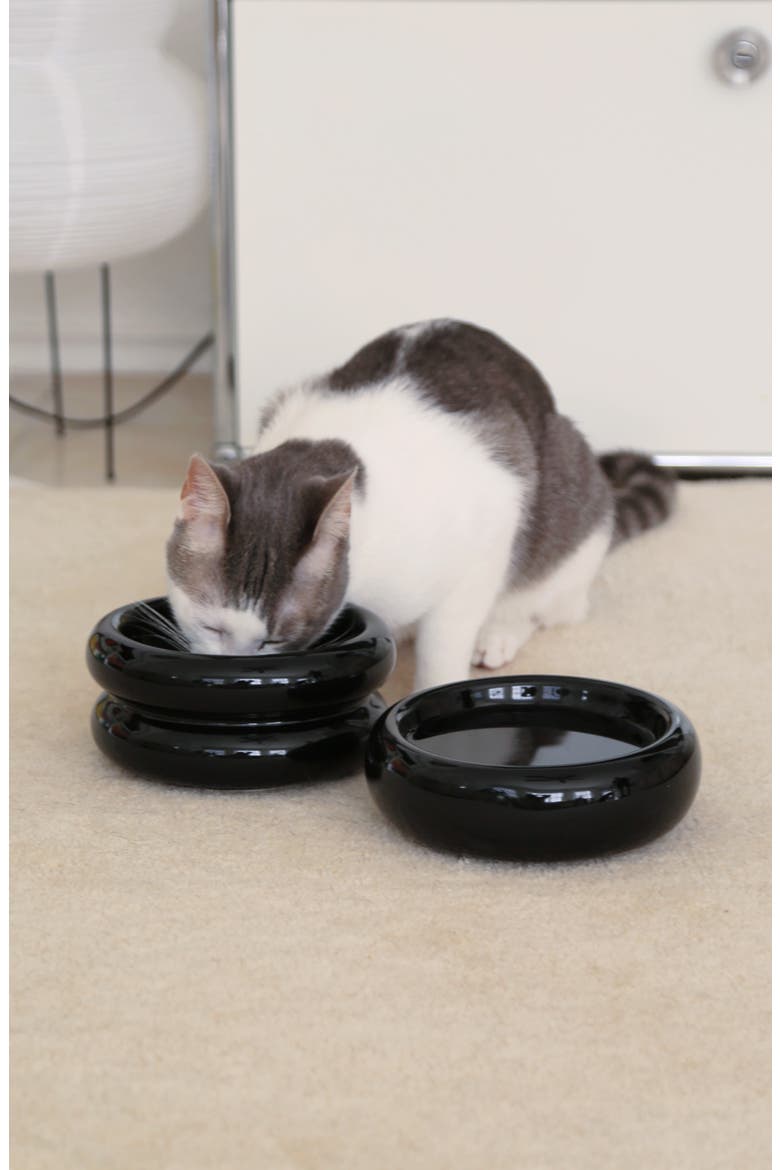 Onyx Halo Cat Bowl, Alternate, color, BLACK