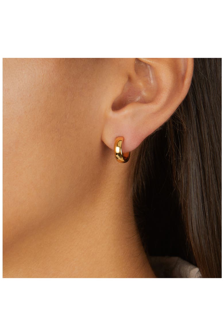 Fiji Mini Hoop Earrings, Alternate, color, GOLD