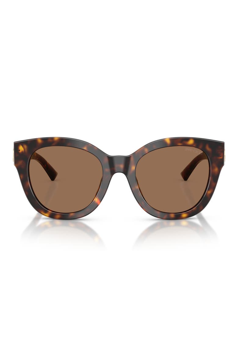 51mm Round Sunglasses, Main, color, HAVANA / DARK BROWN