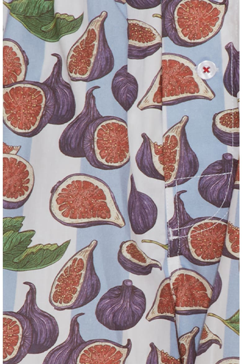 Organic Cotton Fig Spread Boxer Short, Alternate, color, BLUE WHITE STRIPE