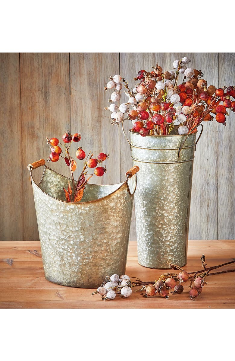 tag Rose Hip Spray Artificial Flower Stems for Fall Decor, Alternate, color, Beige