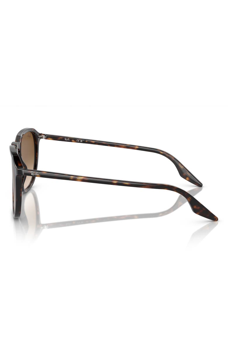 Ray-Ban 52mm Square Sunglasses, Alternate, color, Havana