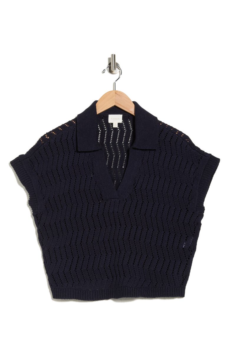 CYRUS V-Neck Polo Sweater, Alternate, color, Eclipse