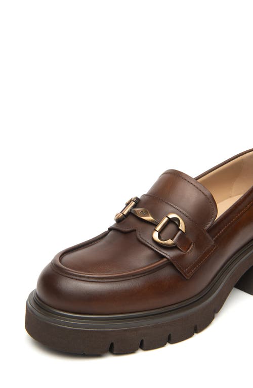 Nerogiardini Lug Sole Loafer In Brown