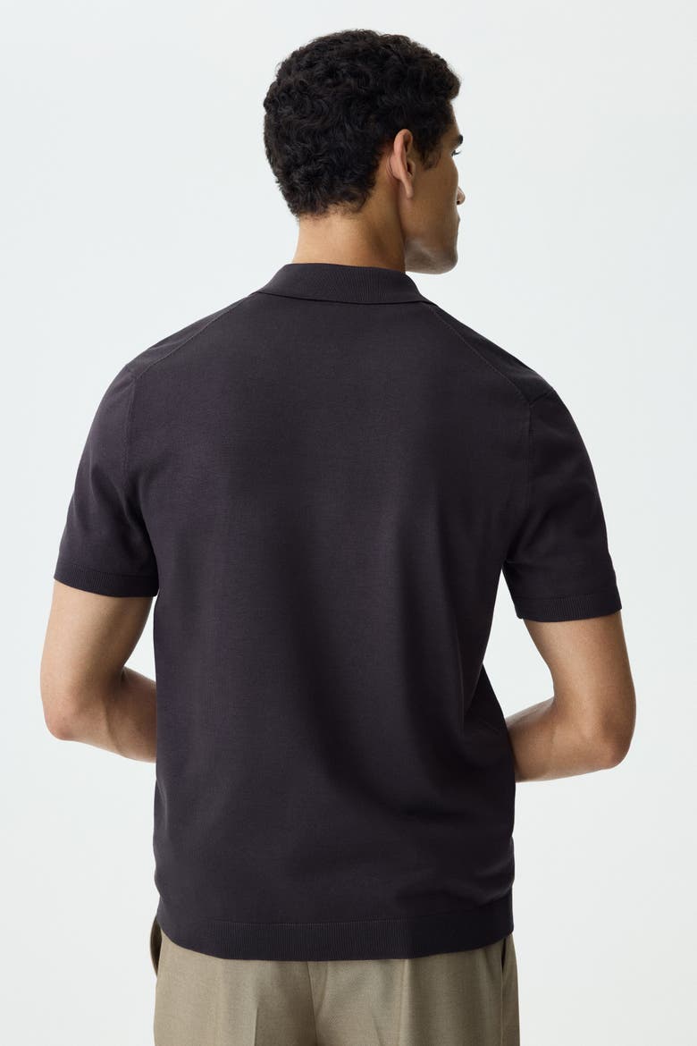 Regular Fit Polo Shirt, Alternate, color, Dark brown