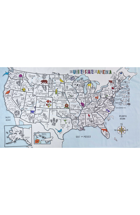 United States map color in tablecloth