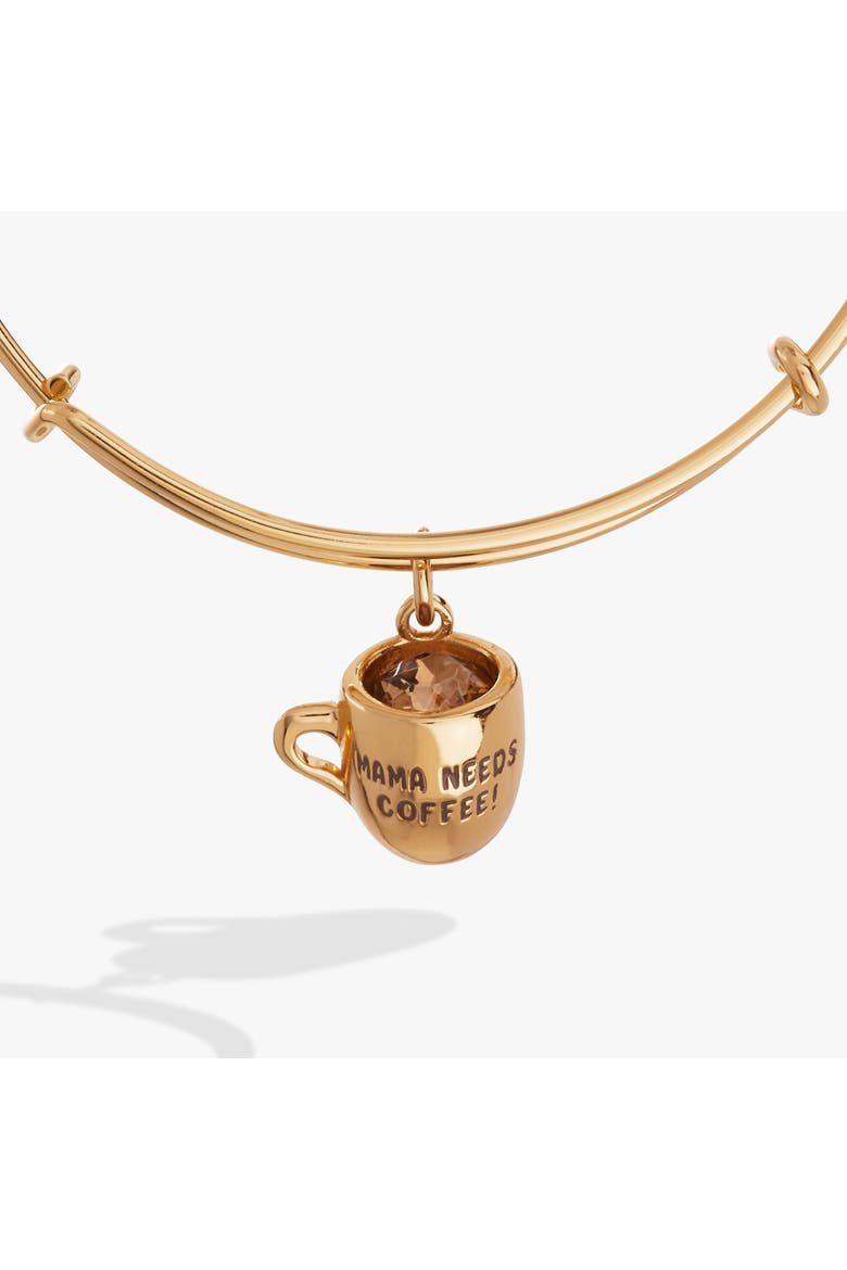 Margarita Charm Bangle, Main, color, Silver