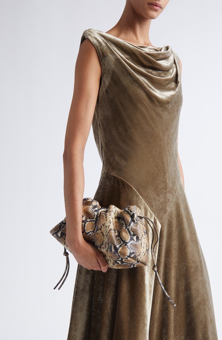 Altuzarra Drawstring Snakeskin Embossed Leather Clutch, Alternate, color, Phyton Macchia
