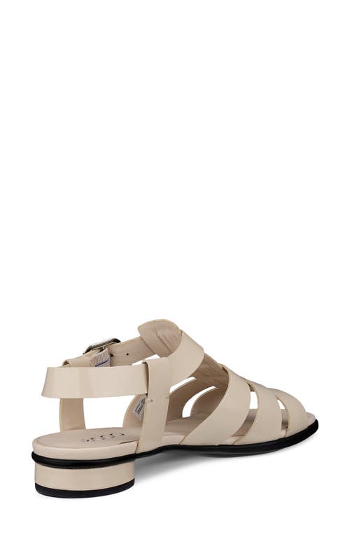 Ecco Sculpted Alba 25 Fisherman Sandal In Limestone