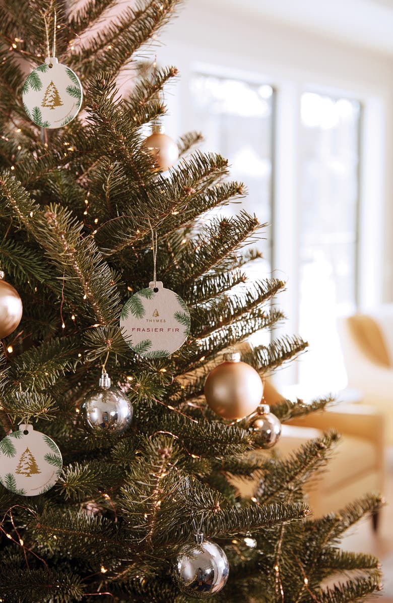 Thymes Frasier Fir Decorative Sachet, Alternate, color, Beige