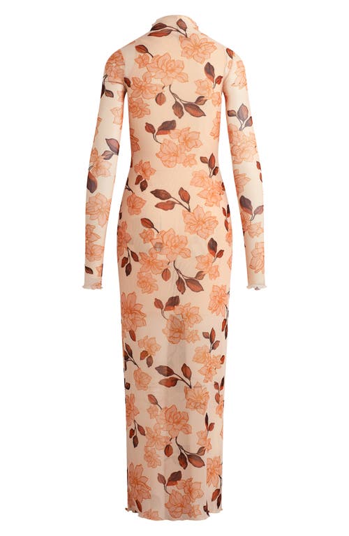 Favorite Daughter The Sheer Fantasy Floral Long Sleeve Mesh Maxi Dress In Brown