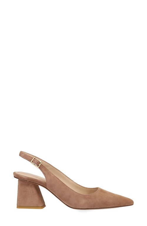 Pelle Moda Florin Slingback Pointed Toe Pump In Brown