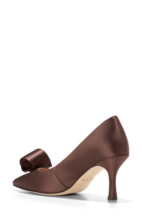 Cole Haan Florette Pointed Toe Pump In Brown