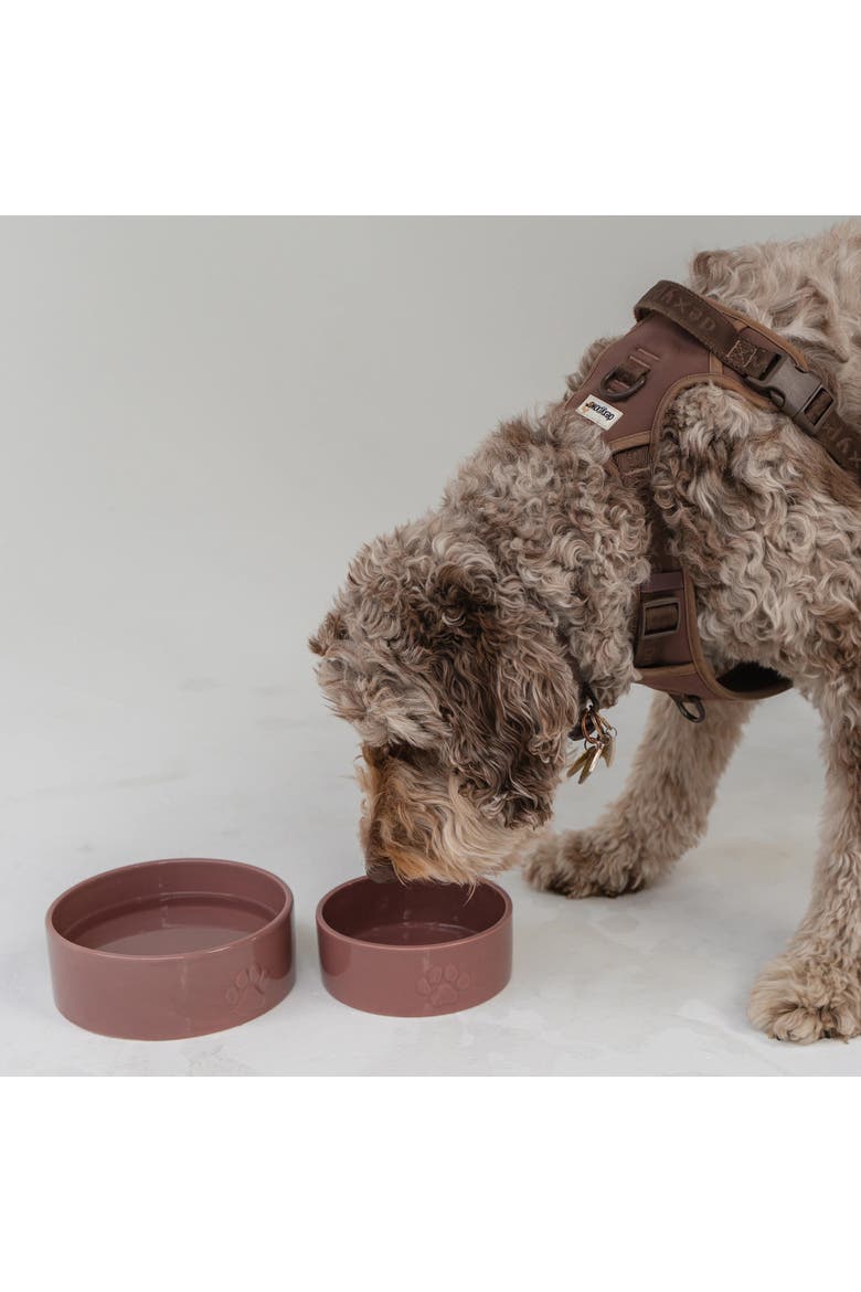 Ceramic Dog Bowl, 26 oz, Pet Feeding Dish, Alternate, color, Pink