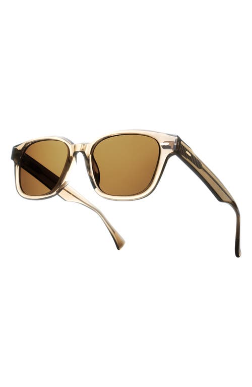 Raen Carby 53mm Polarized Round Sunglasses In Ghost/vibrant Brown Polarized