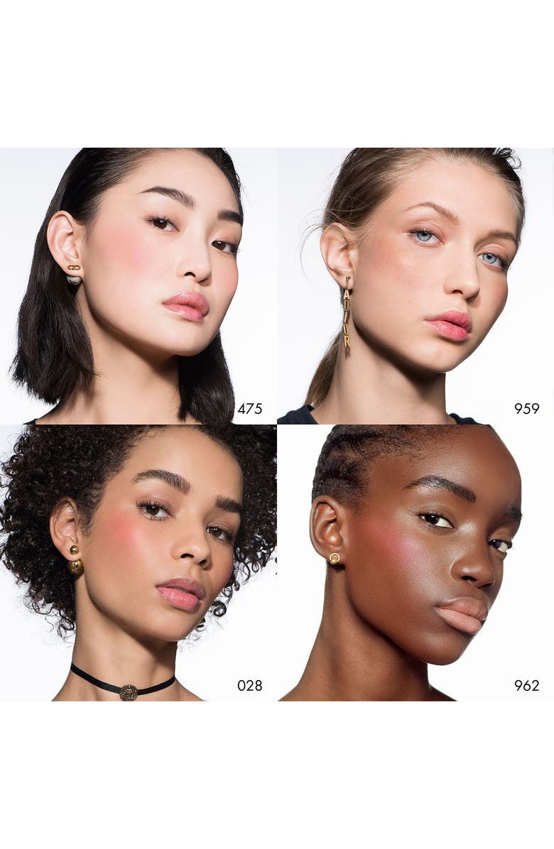 DIOR Rouge Powder Blush, Alternate, color, 100 Nude Look / Matte