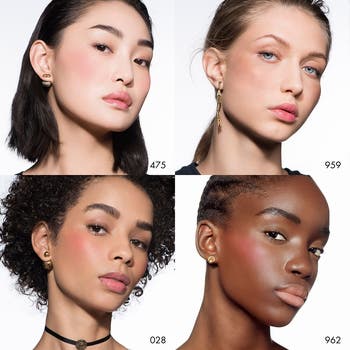 DIOR Rouge Powder Blush | Nordstrom