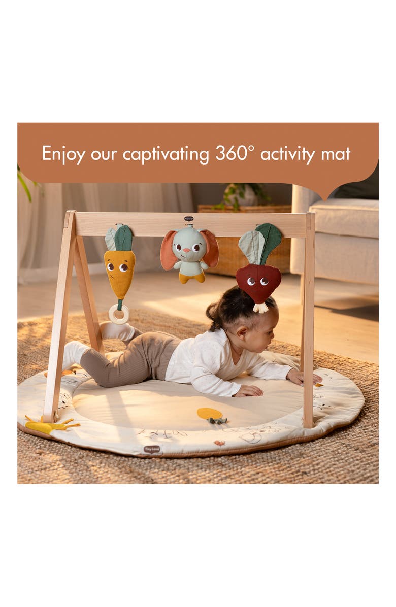 TINY LOVE Garden of Adventures Collection Activity Gym, Alternate, color, Garden Of Adventure Collection