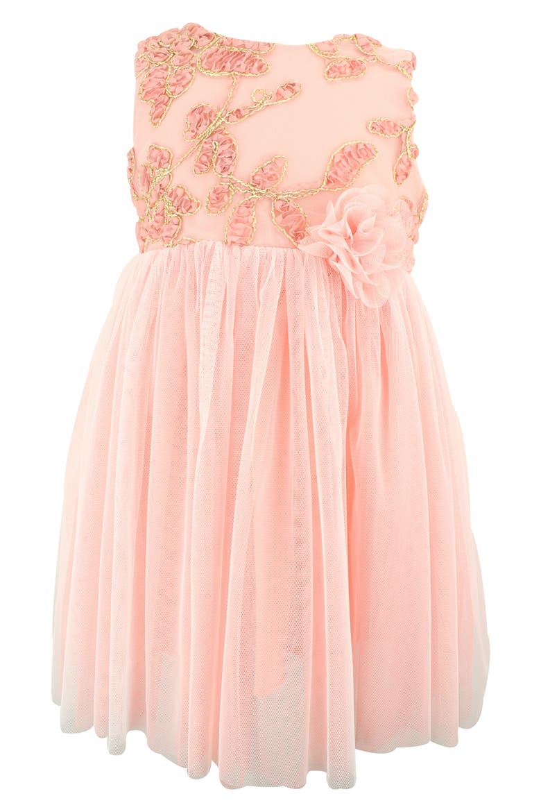 Floral Embroidered Tulle Dress, Main, color, DUSTY PINK
