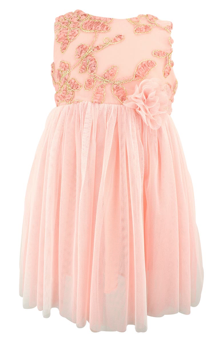 Popatu Floral Embroidered Tulle Dress, Main, color,
