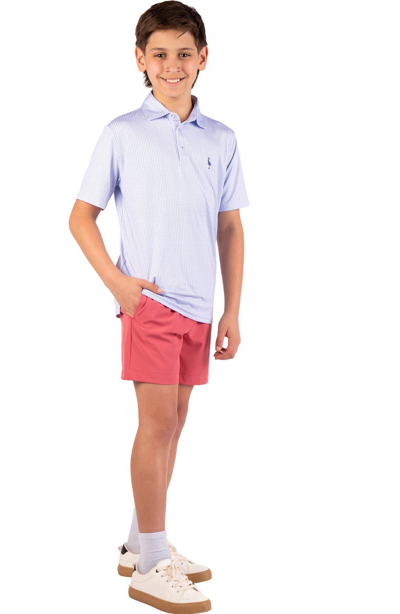 TailorByrd Kids' Print Performance Knit Polo, Alternate, color, Blue